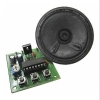 3-MONKEY SOUND-IC OTP FK1315