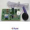 Telephone Interception Circuit FK306